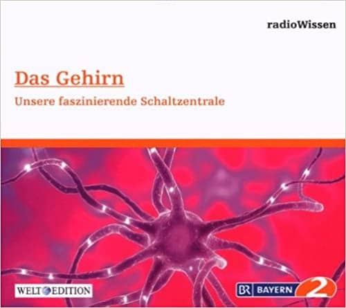 CD Cover Gehirn1